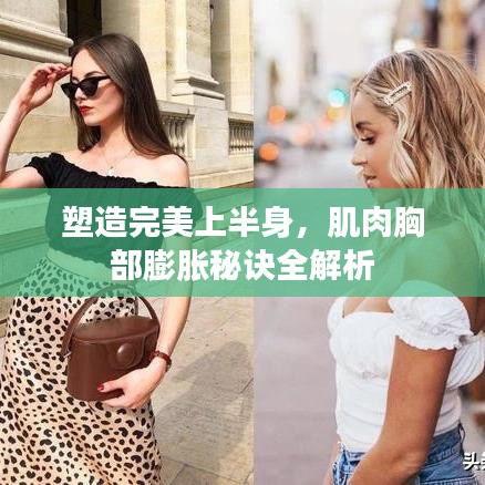 塑造完美上半身,肌肉胸部膨胀秘诀全解析