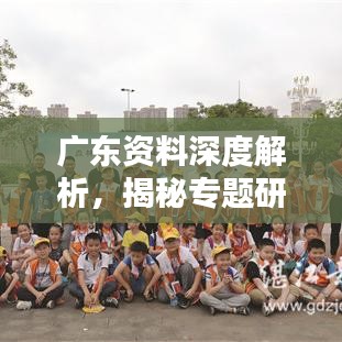 广东资料深度解析，揭秘专题研究背后的数据奥秘