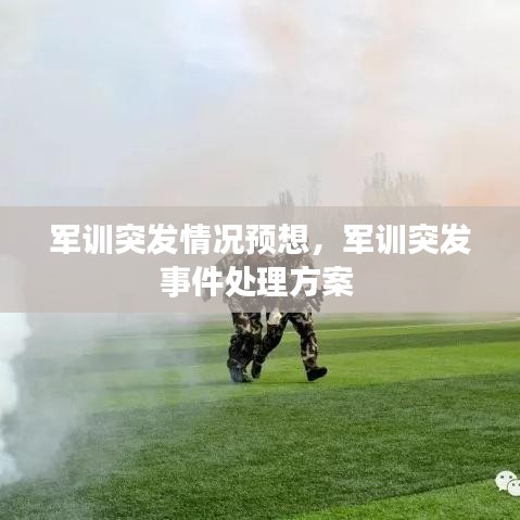 军训突发情况预想，军训突发事件处理方案 