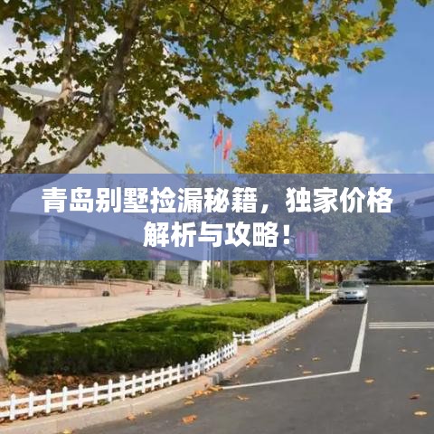 青岛别墅捡漏秘籍,独家价格解析与攻略!