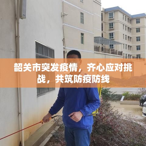 合作案例 第104页