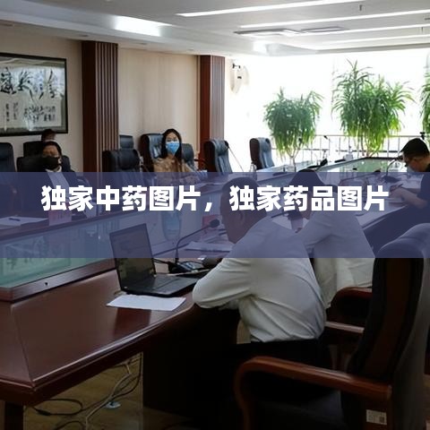 独家中药图片,独家药品图片