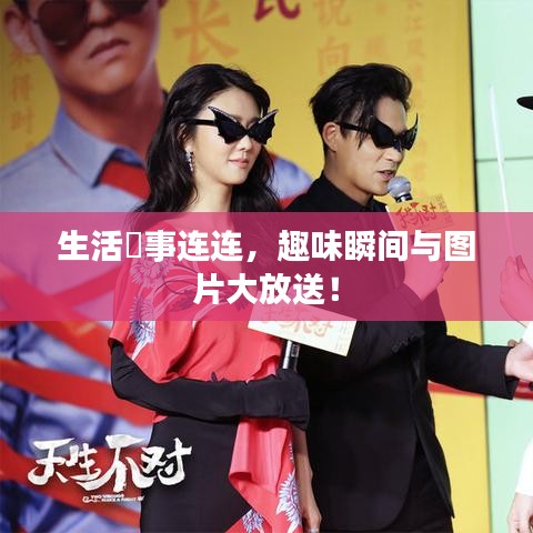 生活囧事连连，趣味瞬间与图片大放送！