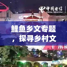 鲤鱼乡文专题，探寻乡村文化魅力，传统与现代交融之旅