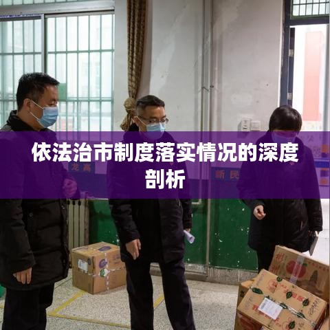 依法治市制度落实情况的深度剖析