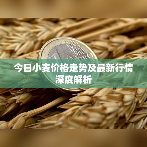 台球房用品 第87页