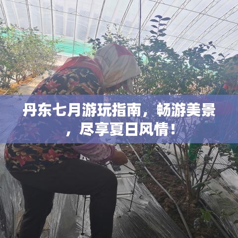 丹东七月游玩指南,畅游美景,尽享夏日风情!