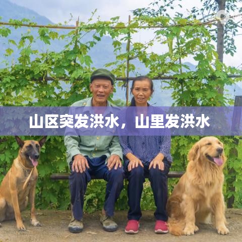 山区突发洪水,山里发洪水