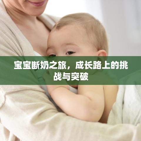 宝宝断奶之旅,成长路上的挑战与突破