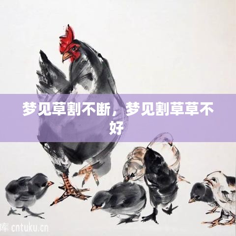 梦见草割不断,梦见割草草不好