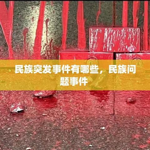 民族突发事件有哪些，民族问题事件 