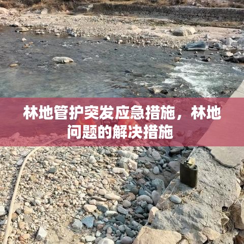 林地管护突发应急措施，林地问题的解决措施 