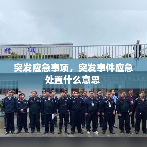 突发应急事项，突发事件应急处置什么意思 