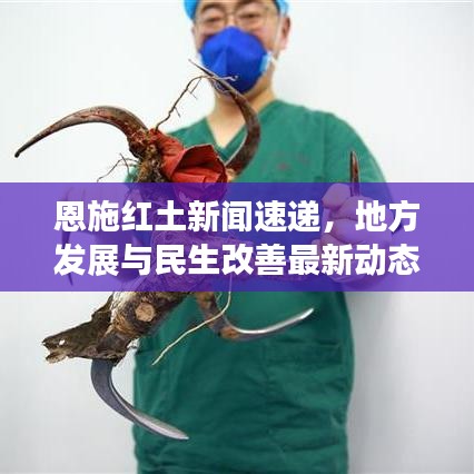 恩施红土新闻速递，地方发展与民生改善最新动态报道