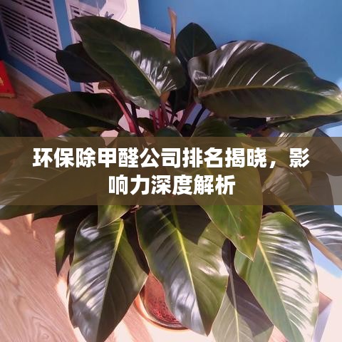 环保除甲醛公司排名揭晓，影响力深度解析