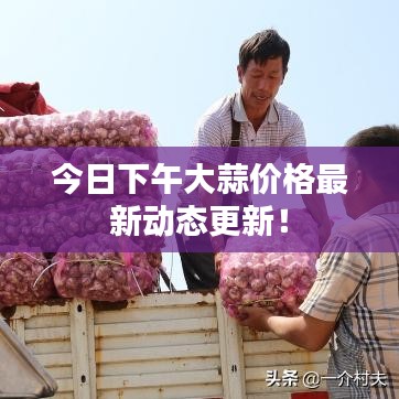 今日下午大蒜价格最新动态更新!