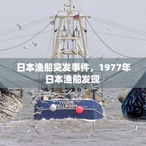 日本渔船突发事件,1977年日本渔船发现