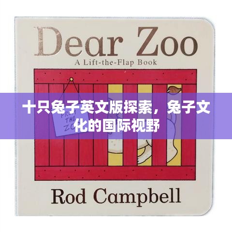 台球房用品 第85页