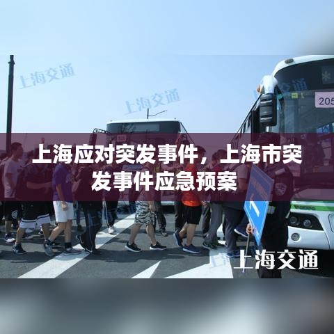 上海应对突发事件,上海市突发事件应急预案