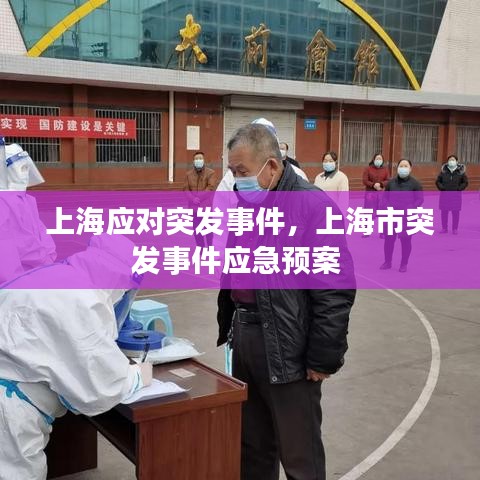 上海应对突发事件,上海市突发事件应急预案