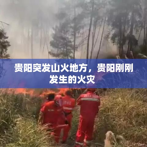 贵阳突发山火地方,贵阳刚刚发生的火灾