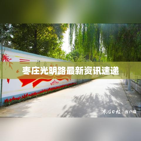 枣庄光明路最新资讯速递