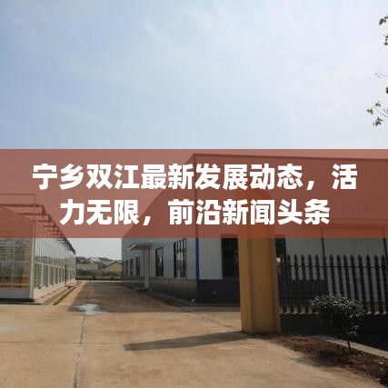 行将就木 第3页