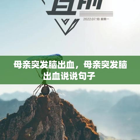 母亲突发脑出血,母亲突发脑出血说说句子
