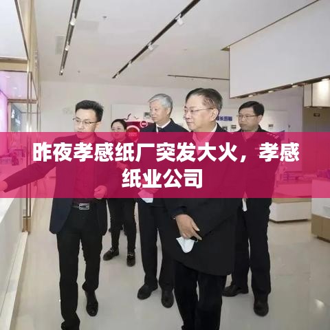 昨夜孝感纸厂突发大火,孝感纸业公司