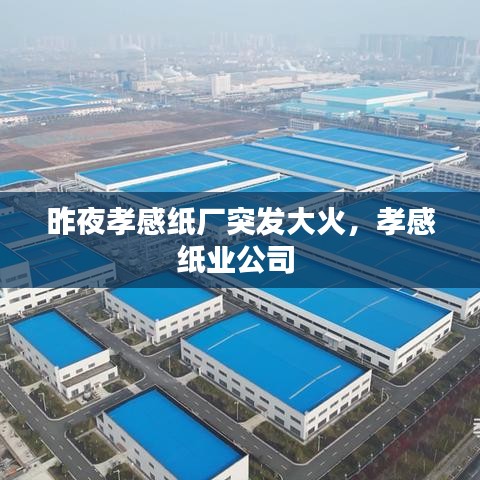 昨夜孝感纸厂突发大火,孝感纸业公司