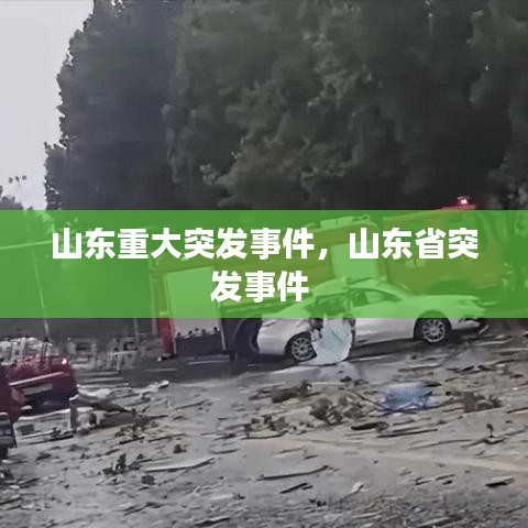 山东重大突发事件,山东省突发事件