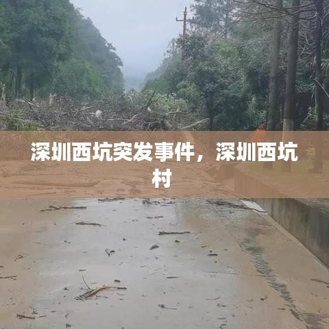 深圳西坑突发事件，深圳西坑村 