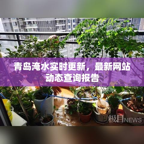 青岛淹水实时更新,最新网站动态查询报告