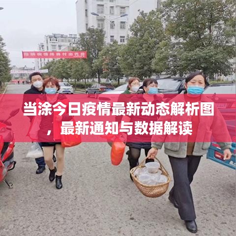 当涂今日疫情最新动态解析图,最新通知与数据解读
