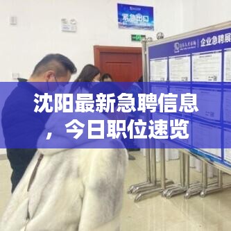 沈阳最新急聘信息,今日职位速览