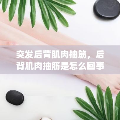 突发后背肌肉抽筋,后背肌肉抽筋是怎么回事
