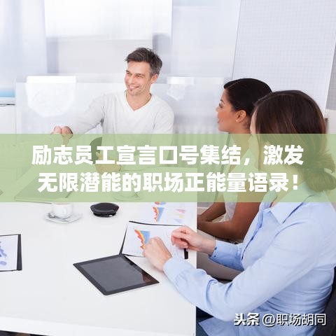励志员工宣言口号集结,激发无限潜能的职场正能量语录!