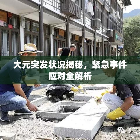 大元突发状况揭秘，紧急事件应对全解析