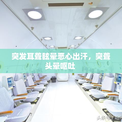 突发耳聋眩晕恶心出汗,突聋头晕呕吐