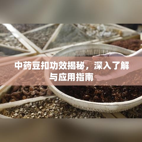 中药豆扣功效揭秘，深入了解与应用指南
