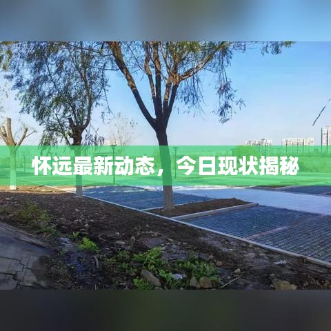 怀远最新动态,今日现状揭秘