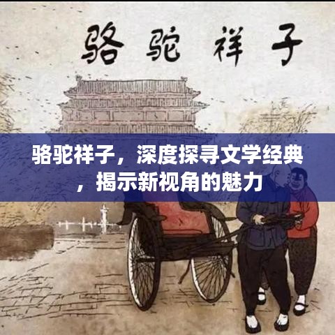 骆驼祥子,深度探寻文学经典,揭示新视角的魅力