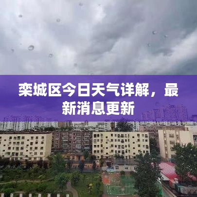 淡妆浓抹 第4页