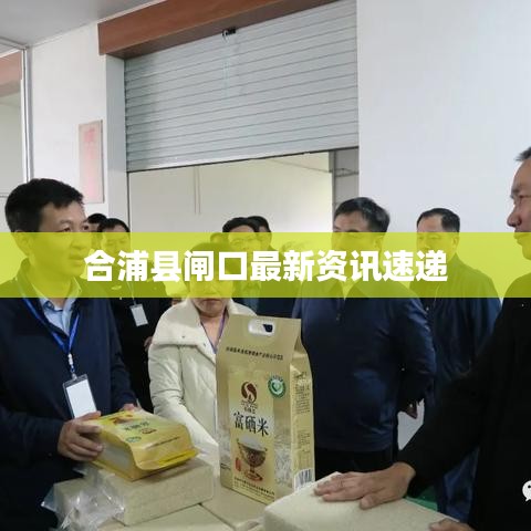 合浦县闸口最新资讯速递
