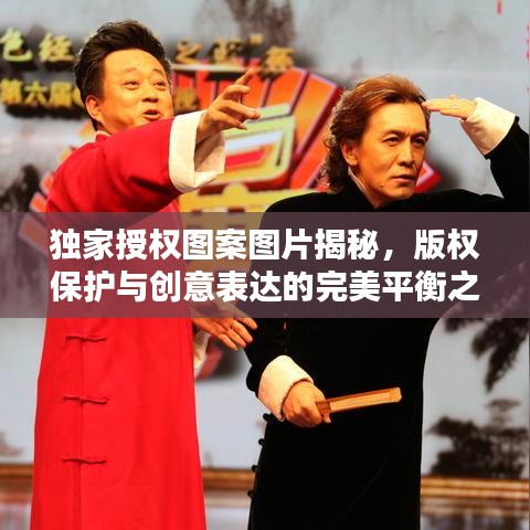 独家授权图案图片揭秘,版权保护与创意表达的完美平衡之道