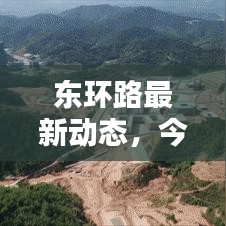 东环路最新动态，今日新闻一览
