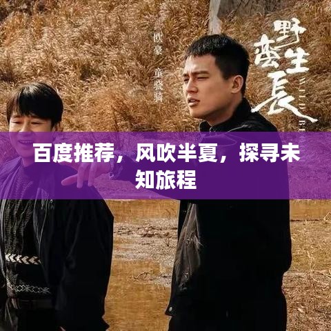 百度推荐,风吹半夏,探寻未知旅程