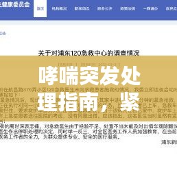 哮喘突发处理指南,紧急应对哮喘发作的方法