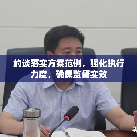 约谈落实方案范例,强化执行力度,确保监督实效
