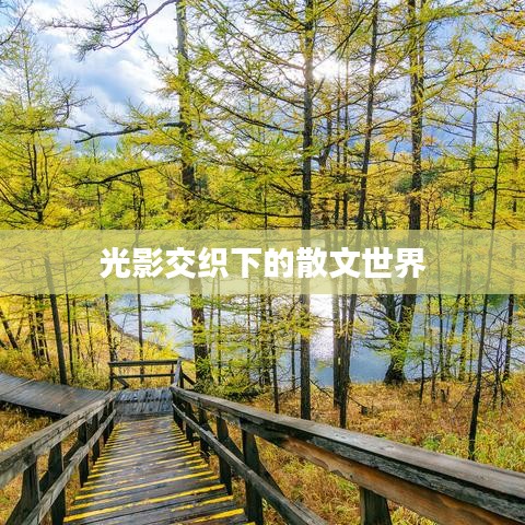 光影交织下的散文世界